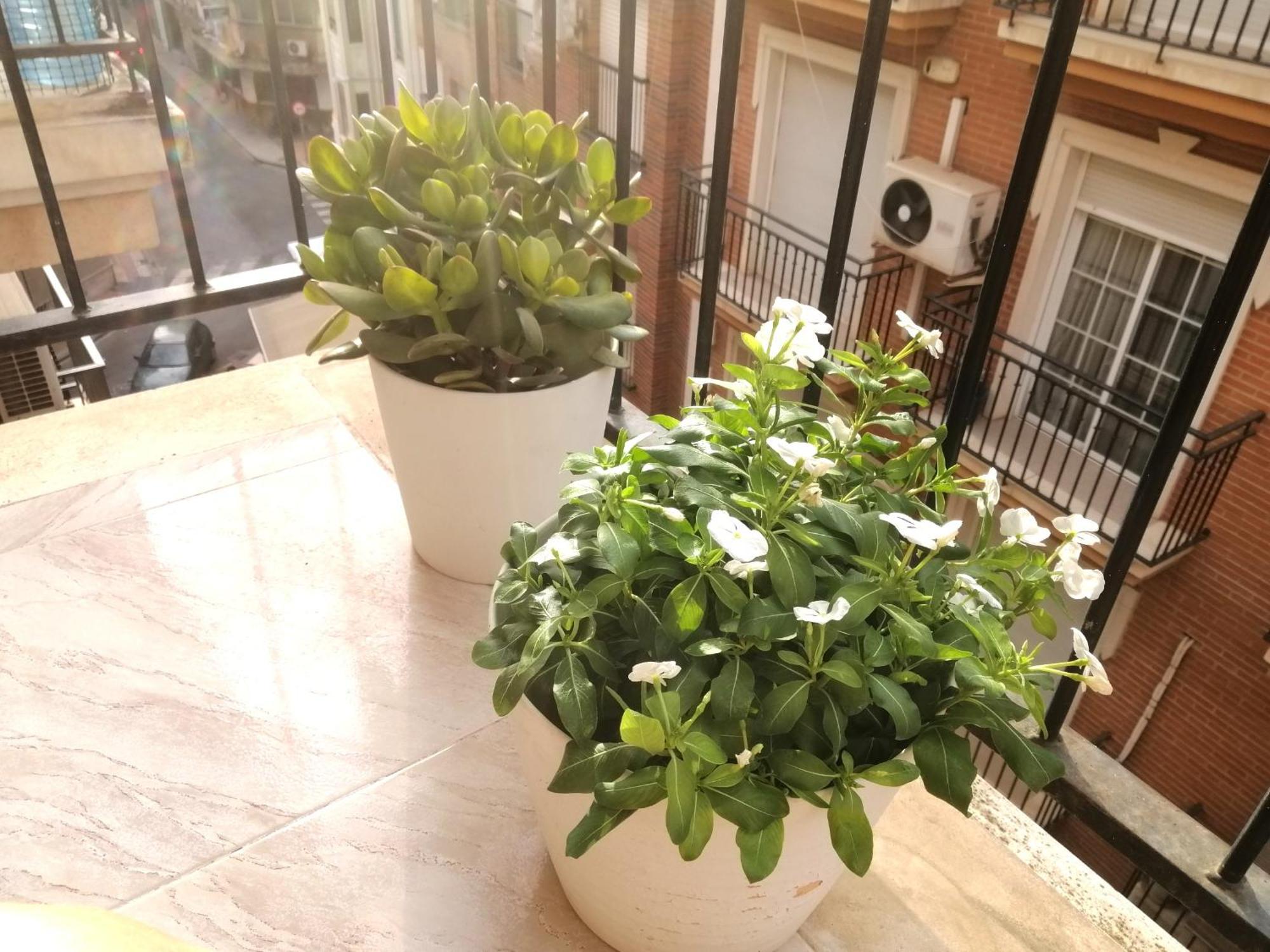Centrico Apartamento Vara De Rey Murcia Ngoại thất bức ảnh